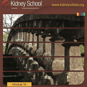 Kidney School Module 16