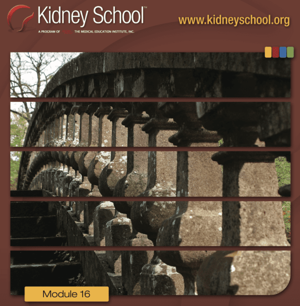 Kidney School Module 16